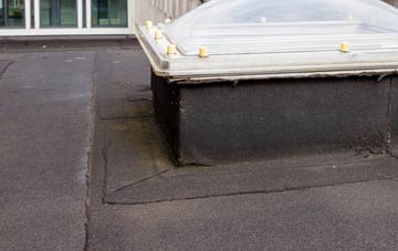 disadvantages of East Down flat roofs
