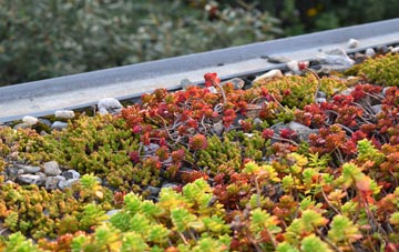 the cost of East Down green roof installation