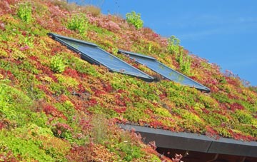 East Down living roof systems